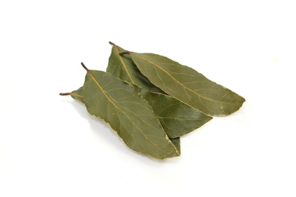 Laurel en hojas